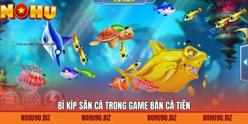 Chia sẻ chiến lược hữu ích khi săn cá Tiên thành công